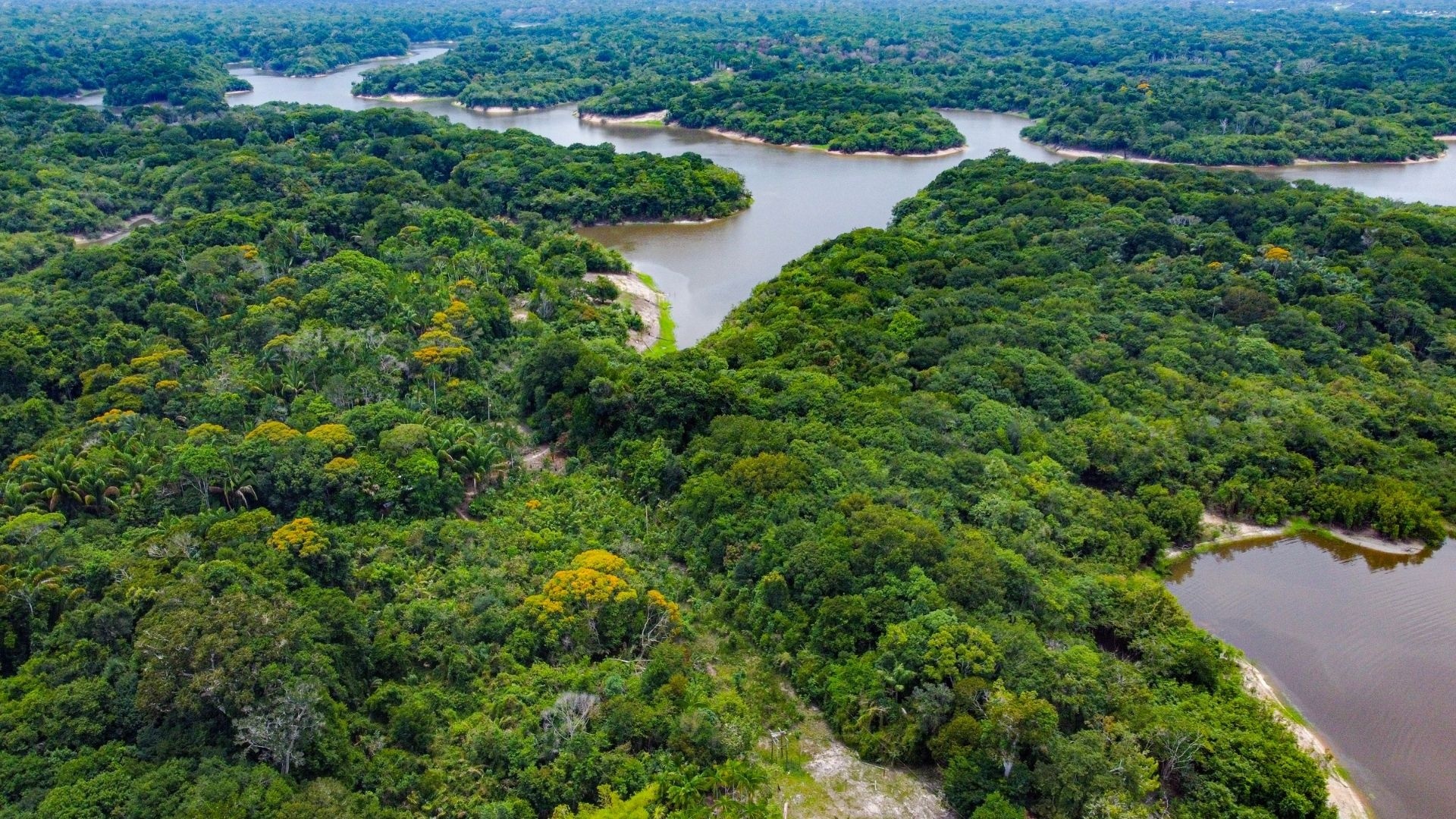 Amazônia