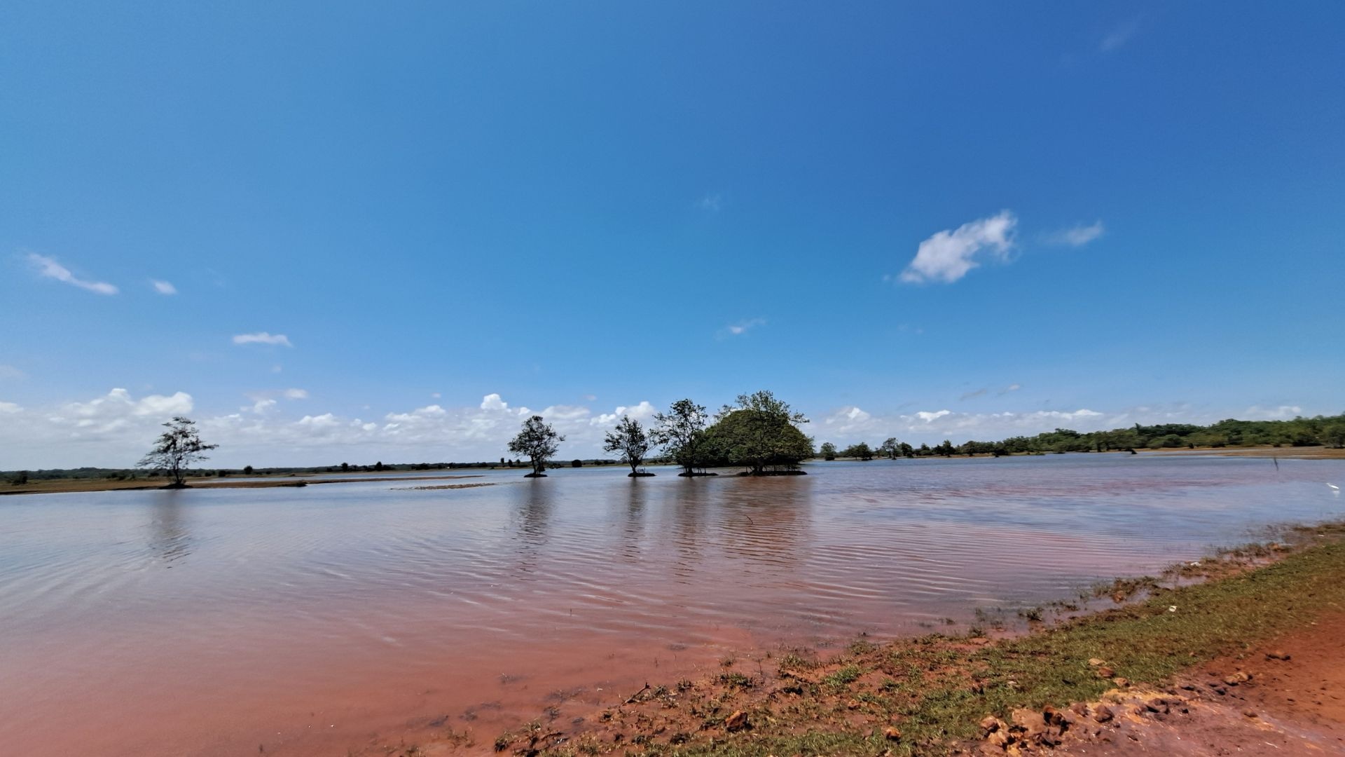 Belém e Ilha de Marajó 