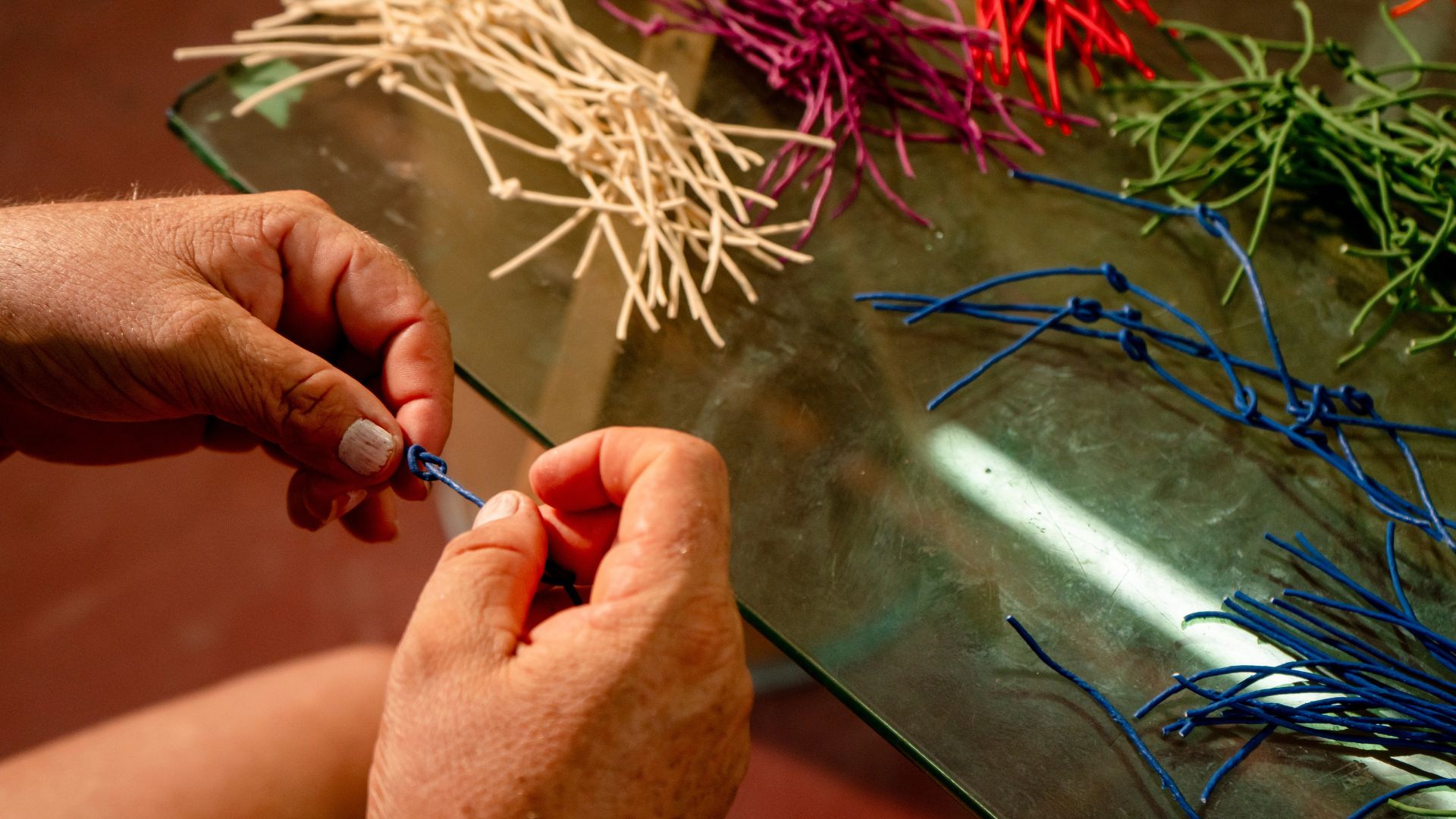 Experiências COP 30 da Sociobioeconomia Amazônica